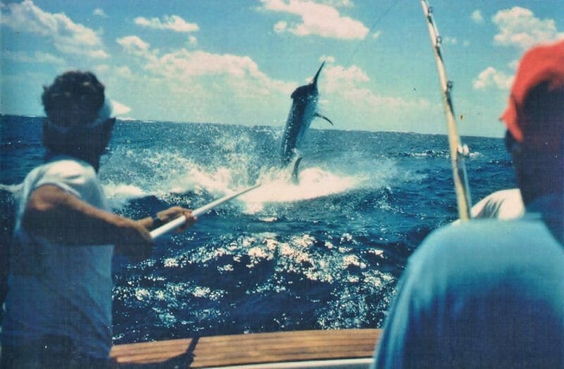 Learning to splice dacron is required for big game fishing.