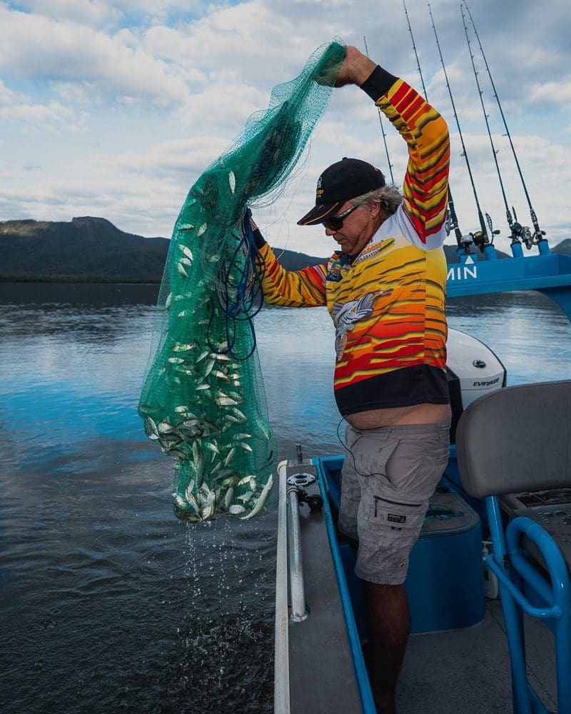Cast net full of bait fish