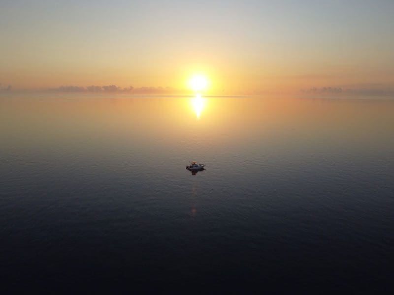 Cruising the barrier reef