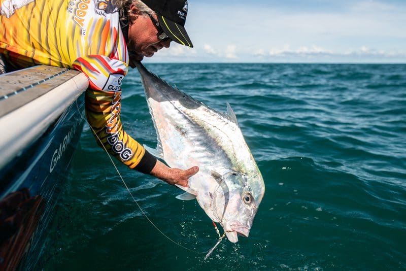Pennant fish or Diamond Trevally
