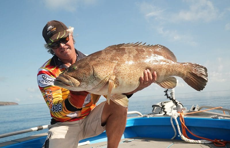Fishign north australia for big cod