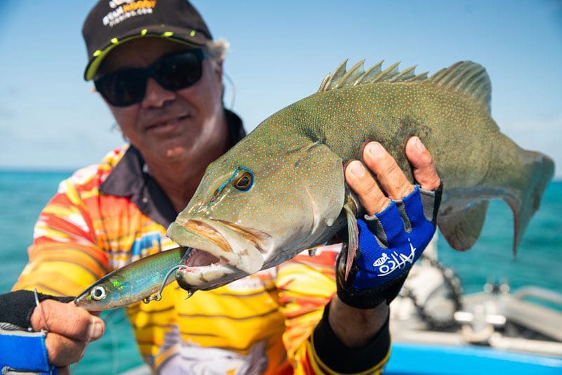 Fishing Cooktown for coral trout using stick baits top water