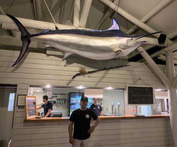 Big marlin are captured off Lizard Island.