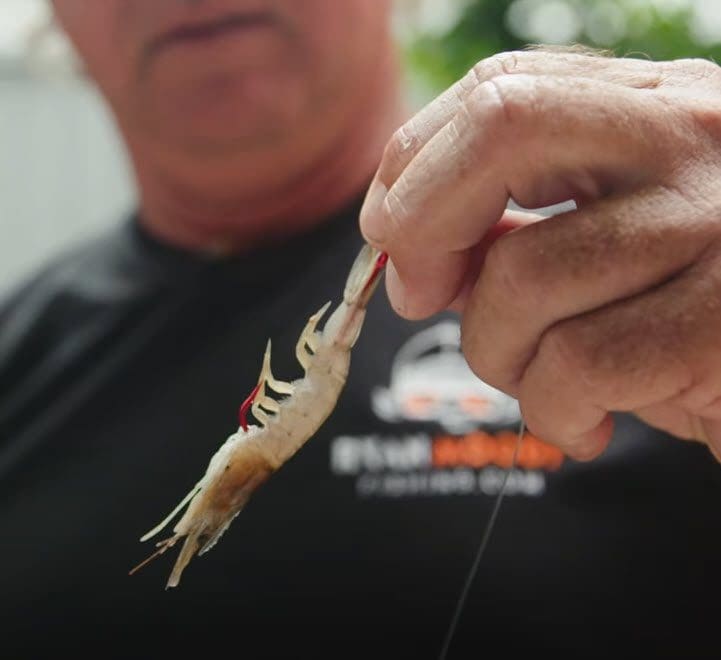 Long shank fishing hook