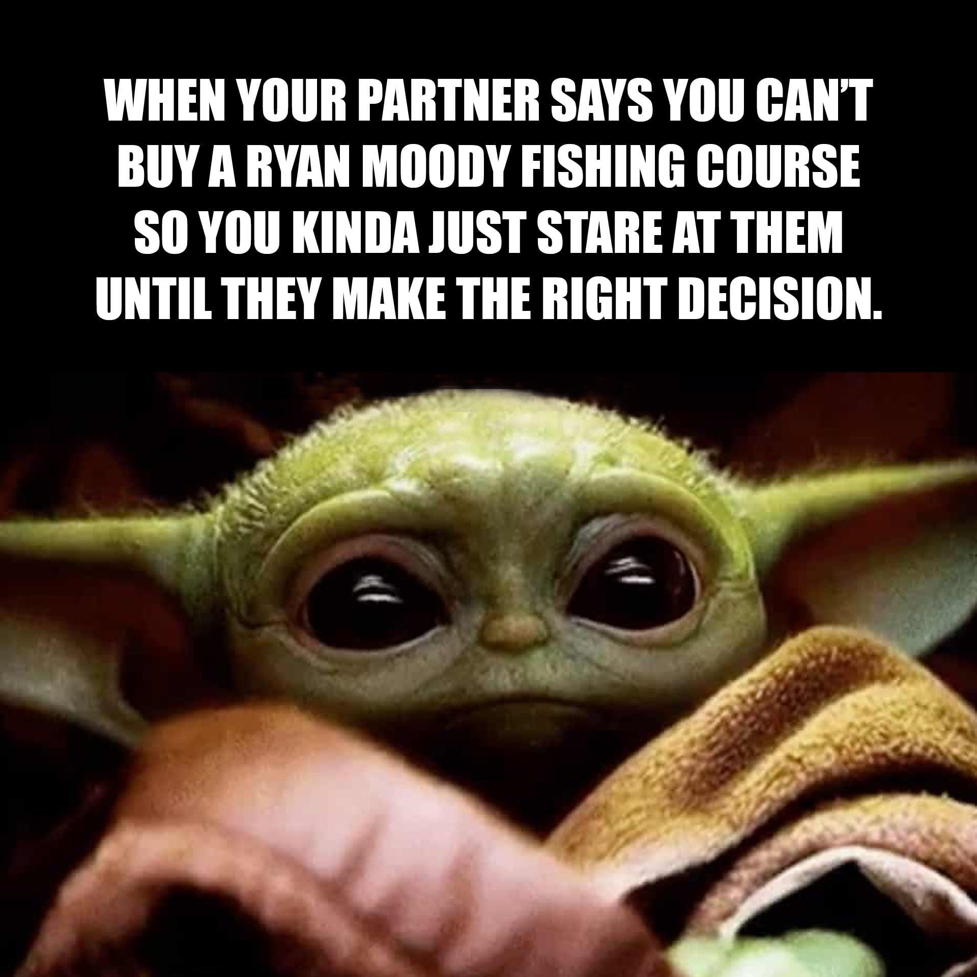Baby yoda wants a fishing course