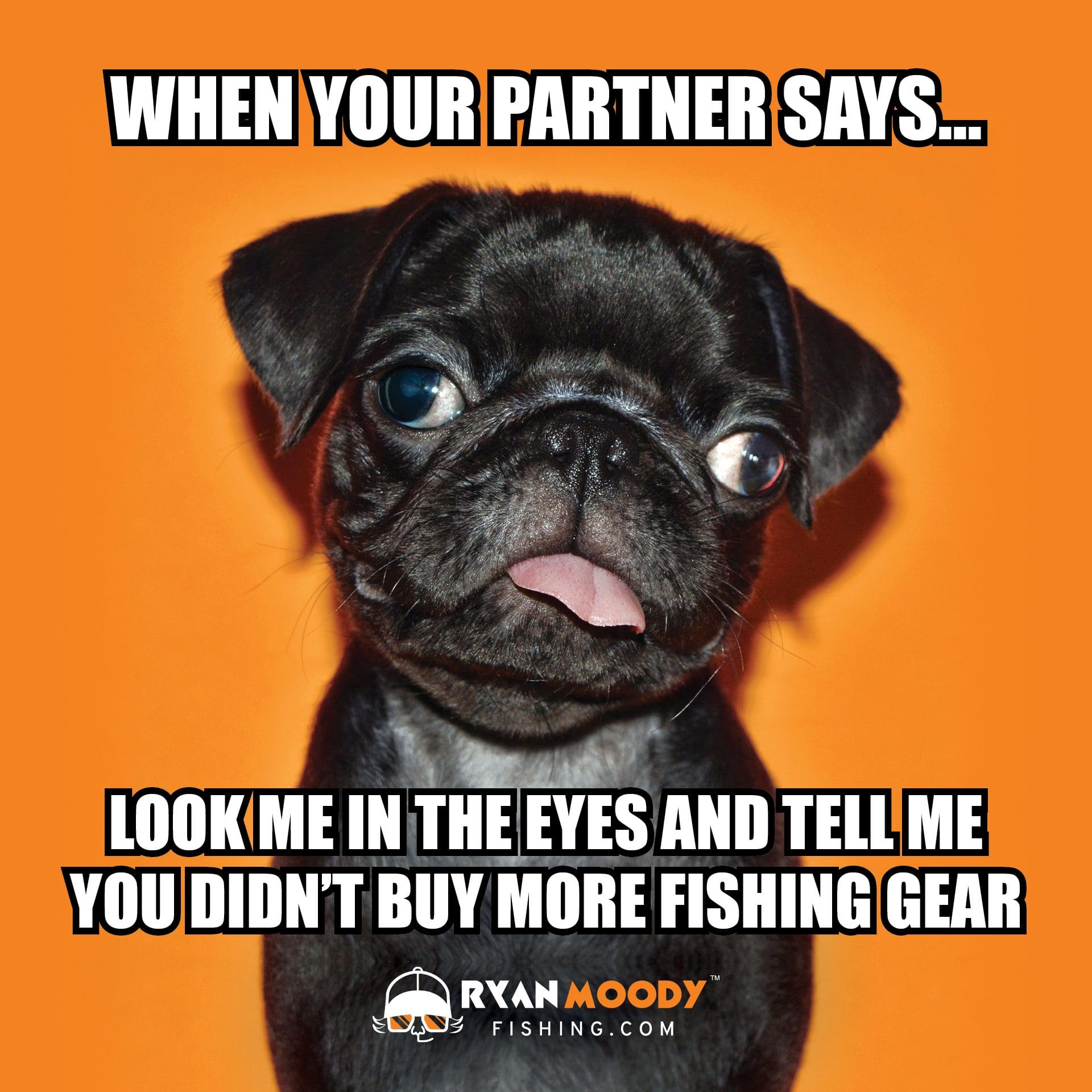 funniest fishing meme on fishing gear