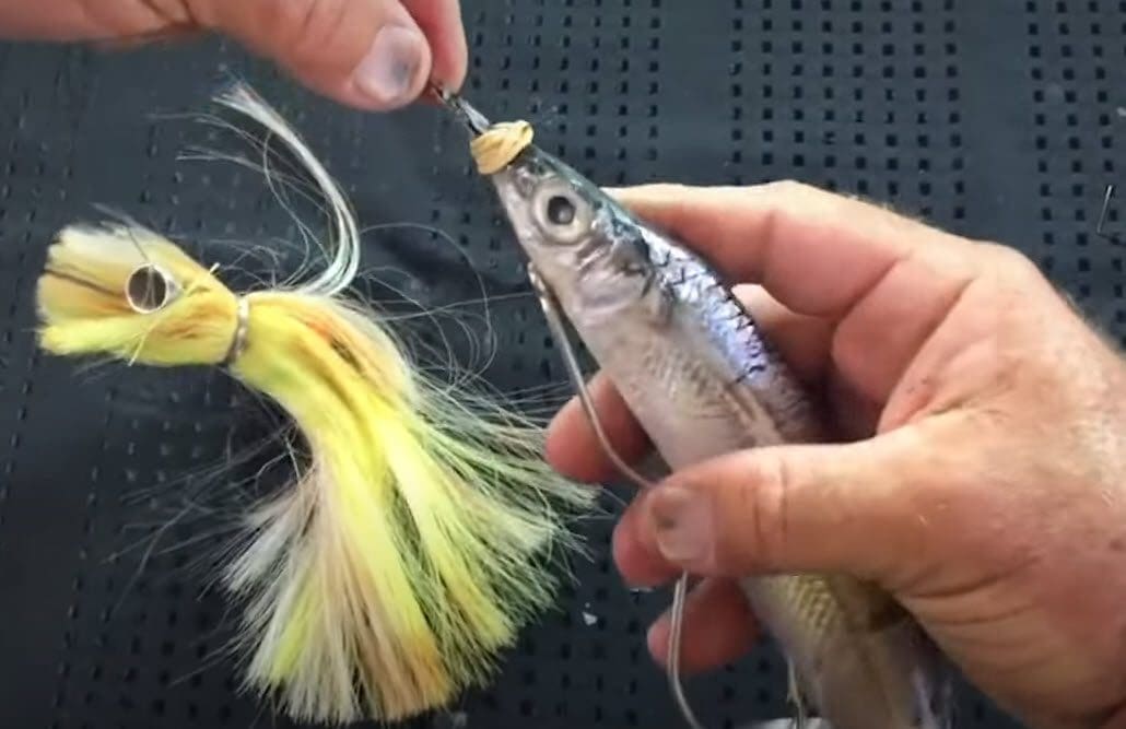 Ganged hooks for swimming baits