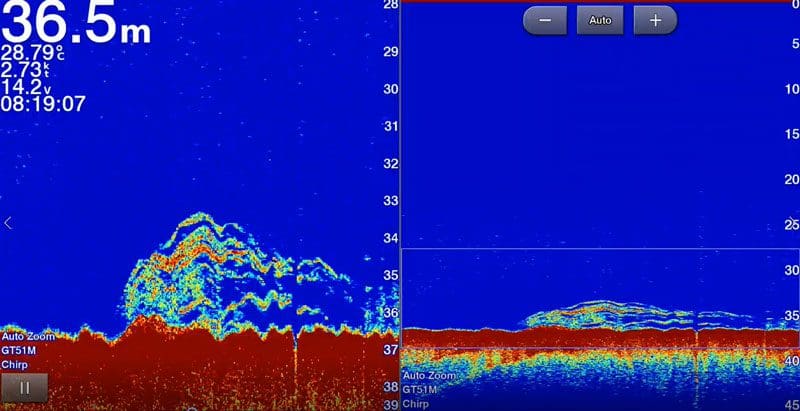Sounder shot of good fish
