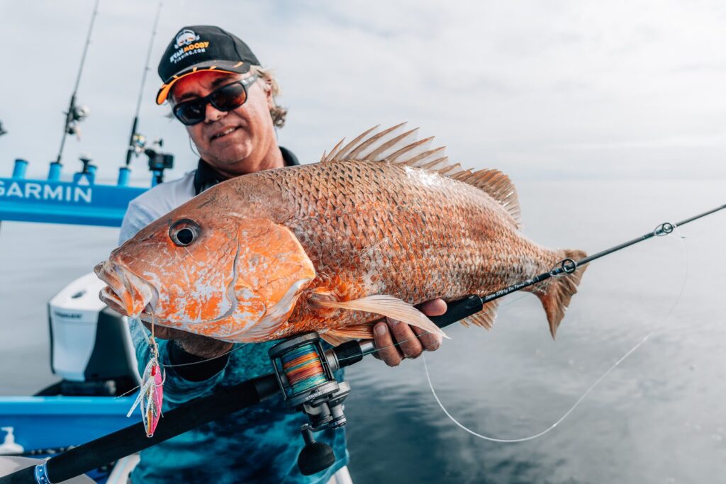Golden snapper fish lift with lure in mouth