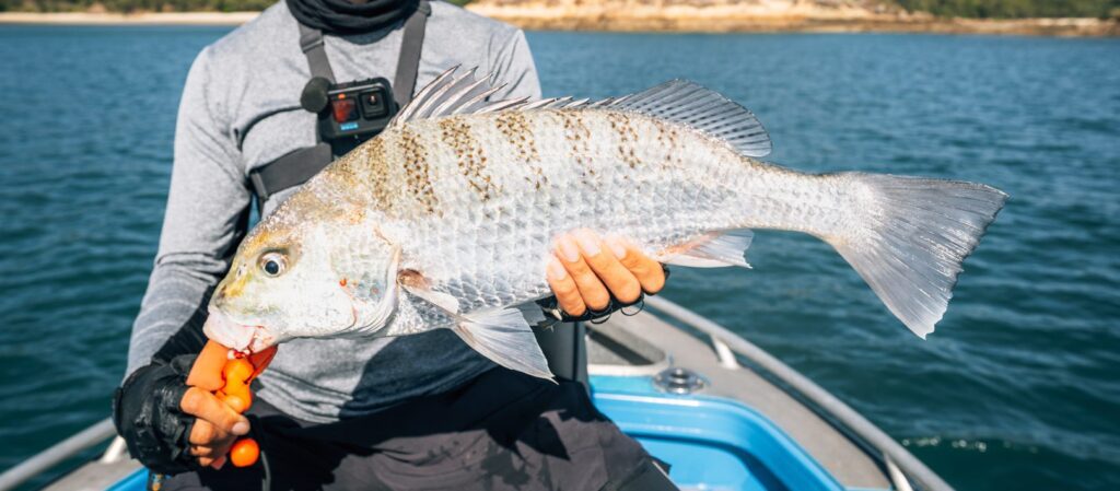 Fishing Port Clinton for Golden Grunter.