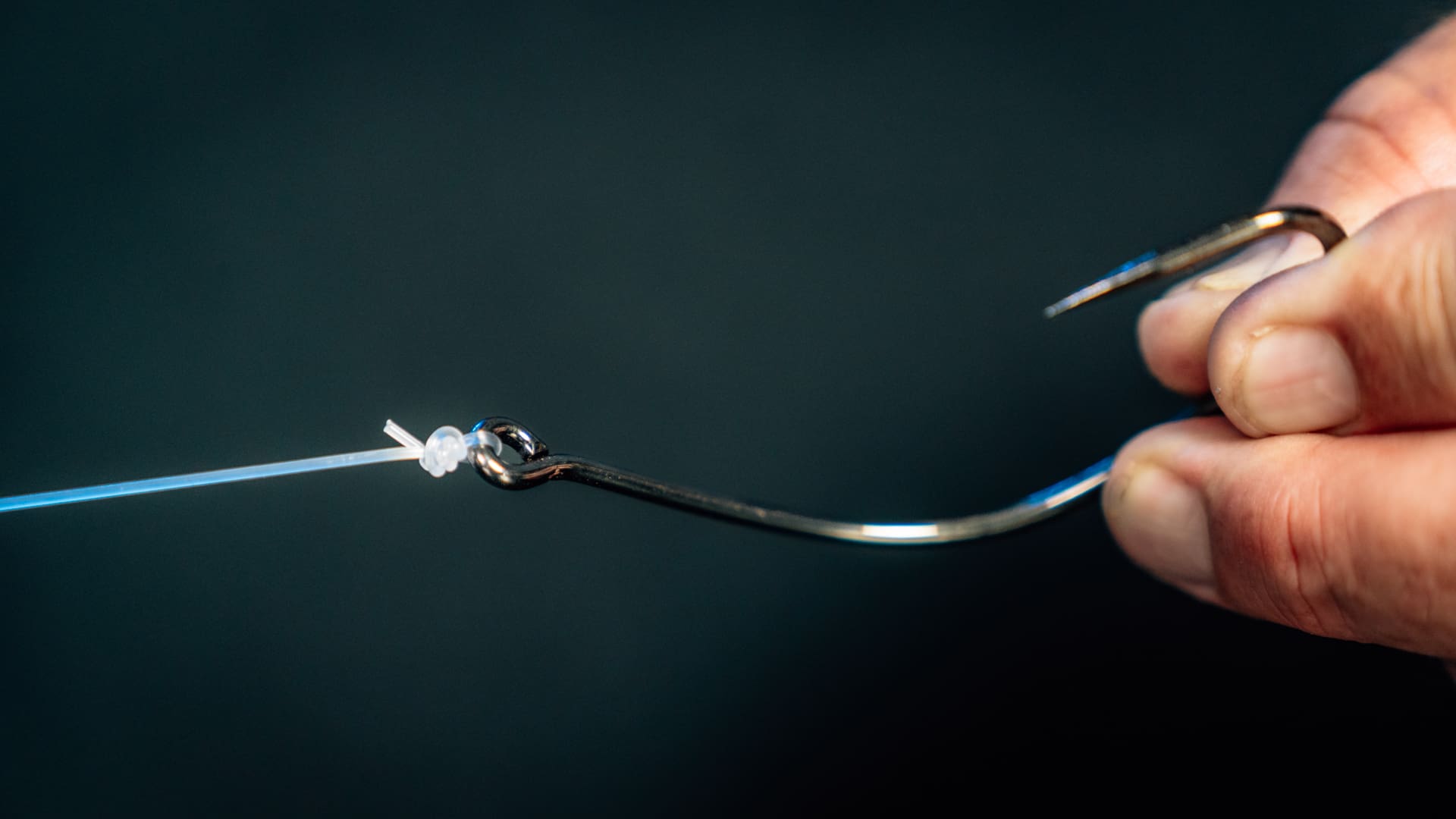 Double Reversed Locked Blood Knot_CloseUp_DSC06722 Double Reversed Locked Blood Knot_CloseUp_DSC06722