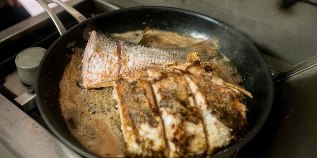 crisoy skin golden snapper