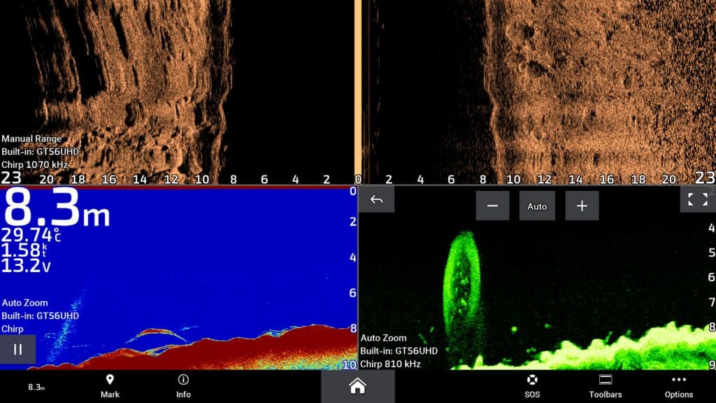 Screen shot of fingermark snapper feeding on a bait school