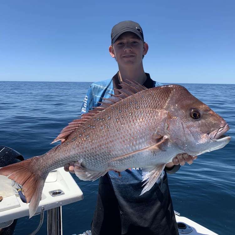 Snapper in Moreton Bay