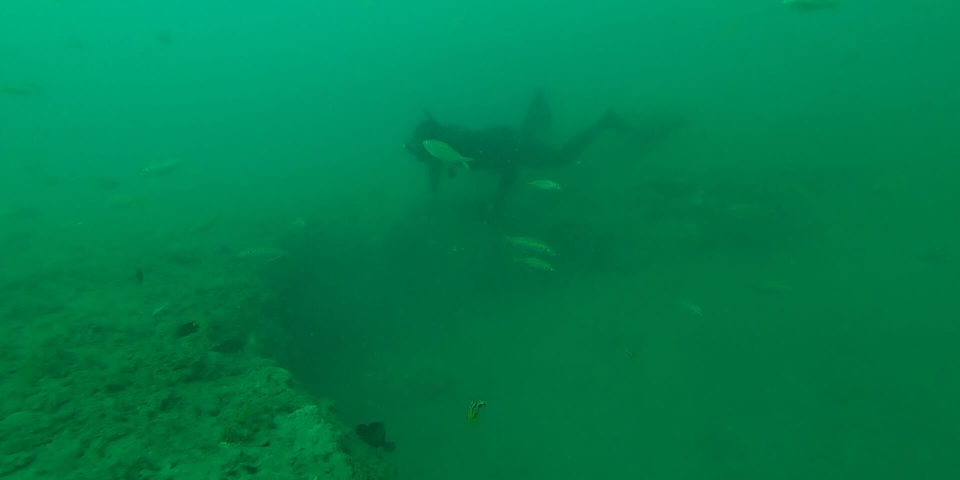 What wonky holes look like