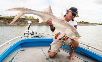 king-threadfin-rockhampton